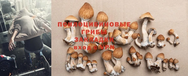 ALPHA-PVP Вяземский