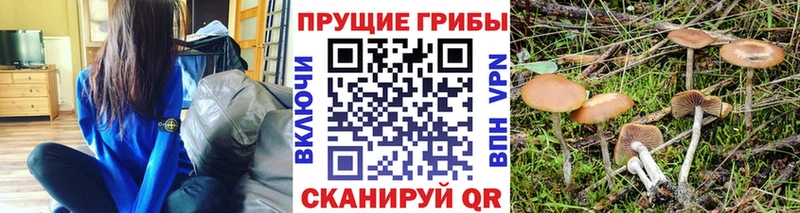 Псилоцибиновые грибы ЛСД  Жердевка 